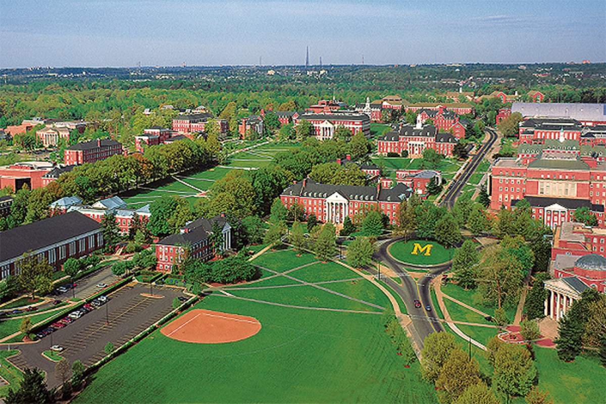 Dự án của Đại học Maryland: Biến đổi không gian bằng tấm ốp tường sáng tạo